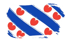 Website laten maken Friesland