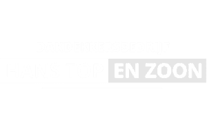 Webdesign seo hosting en onderhoud dakdekker hans top