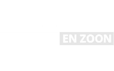 Webdesign seo webhosting en onderhoud website dakdekker hans top