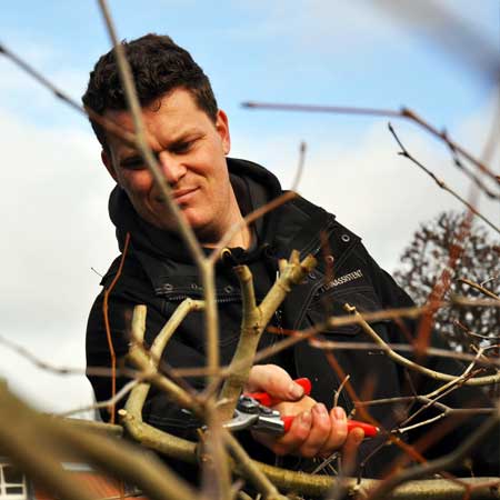 webdesign groningen voor tuinassistent